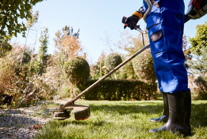 Entretien de la végétation au bord d’une pelouse avec une débroussailleuse
